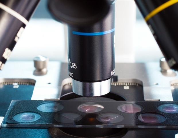 Protein partnership enhances innate immune sensing of viral RNA