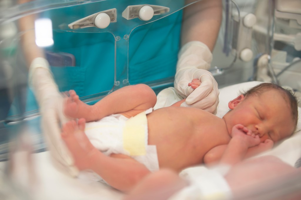 A doctor's gloved hand holding the fingers of a newborn baby lying in a medical incubator.