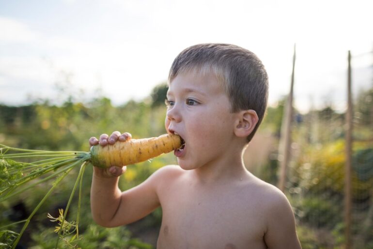 Yes, eating carrots can help your eyesight. But it's not a cure-all.