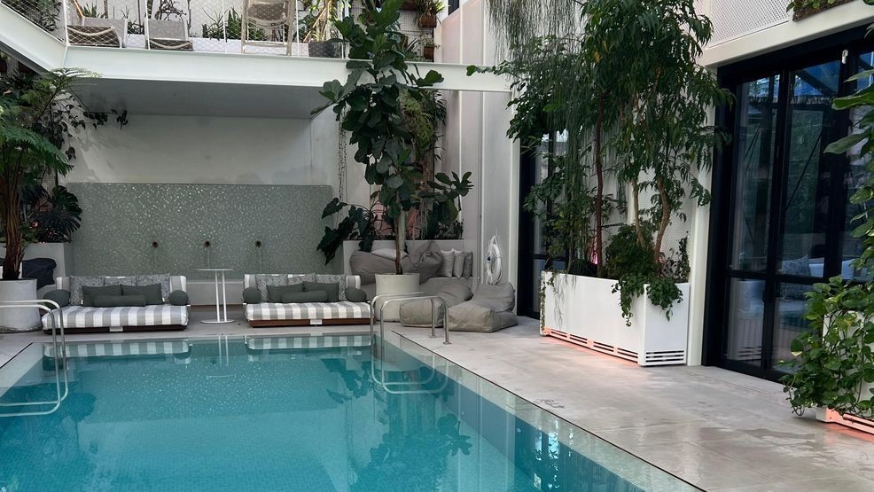 (Image: Kate Neidigh)