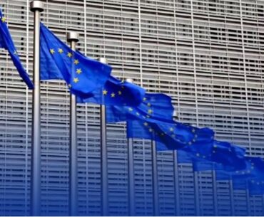 EU Presses Parliament Over Deputy PM Immunity