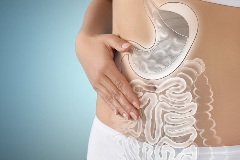 Wake Forest invests in postbiotic for leaky gut