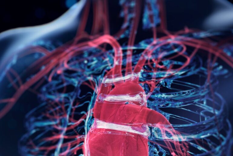 Overactive immune cells can worsen heart failure – targeting them could offer new treatments