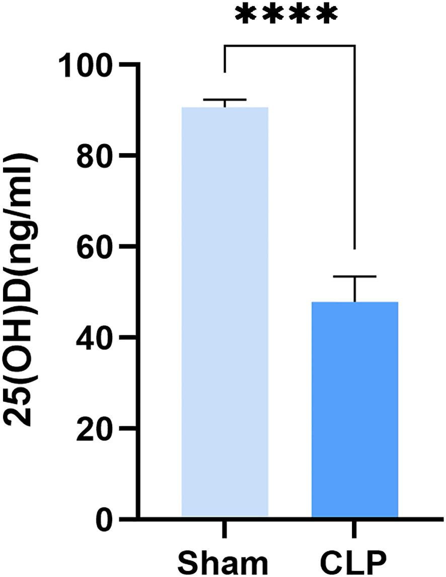 Bar graph comparing 25(OH)D levels in ng/ml between two groups: Sham and CLP. The Sham group shows significantly higher levels, around 95 ng/ml, than the CLP group, around 55 ng/ml, indicated by four asterisks for significance.