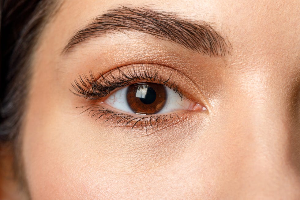 best eyeshadow shades blue brown eyes