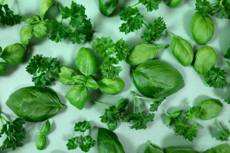 7 Healthiest Herbs With Surprising Benefits, According to Dietitians