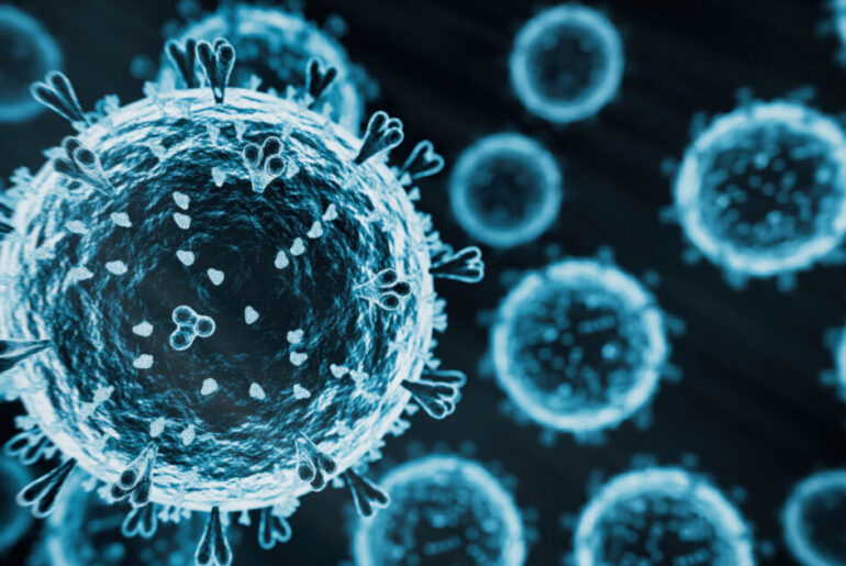Killer immune cells targeting Epstein-Barr virus may help drive MS