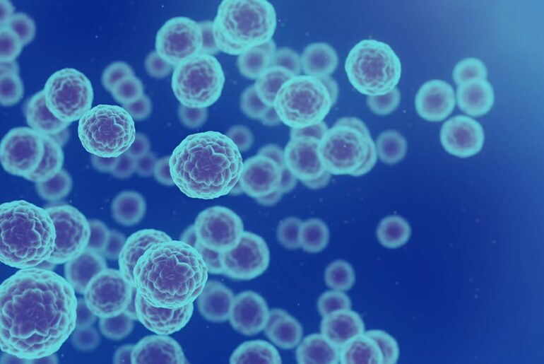 New Method Supercharges Immune Cells Against Tumors