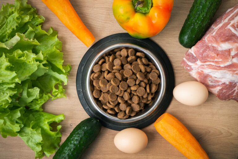 Upcycled ingredients offer validated nutrition for circular pet food systems