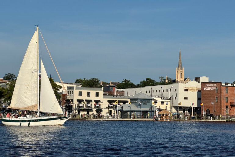 The 5 Most Beloved Boat Tours In Wilmington Blending Fun, Beauty, And Education, According To Reviews