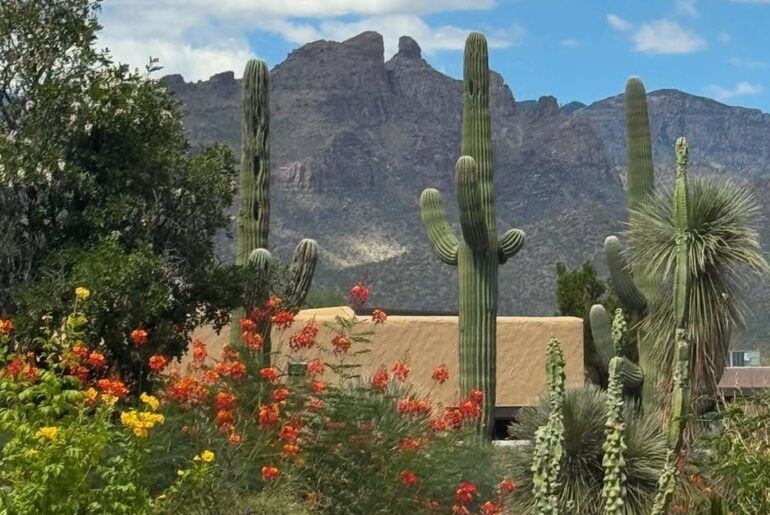 Arizona's Wellness Sanctuary Is A Desert Hideaway With Lush Lounges And World-Class Spa Treatments