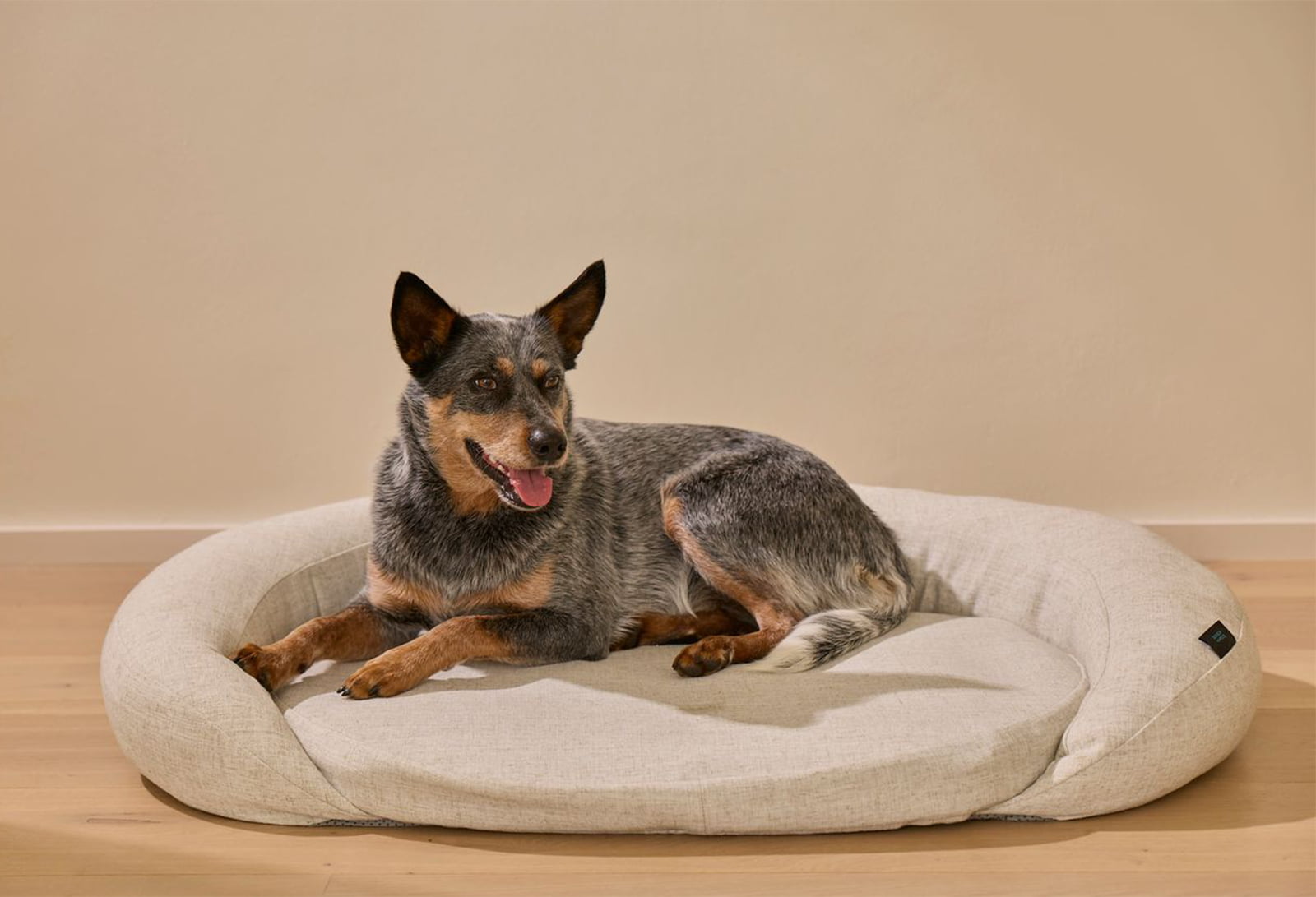 From Skinification to Furification: The Pet Wellness Boom