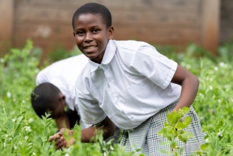 Current Deficits in Nutrition, Learning and On-the-Job Skills cost Modern Children Half of Their Future Earnings – The Tanzania Times