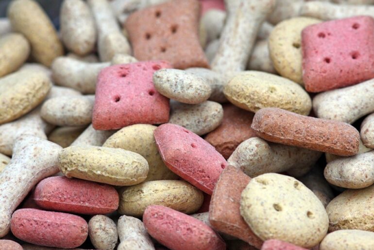 India pet food market expects double-digit growth through 2032