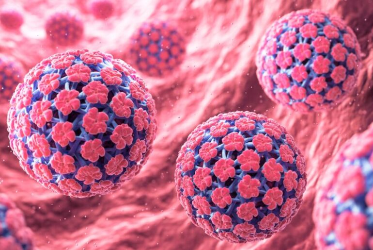 How vaccine structure shapes immune response to HPV tumours