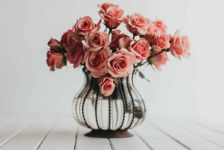 Only the Good Stuff: Multivitamins For Your Weekend {02.14.2026}