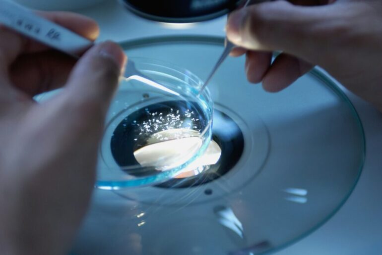 UCalgary Study Explores Vitamin Therapy for Glioblastoma