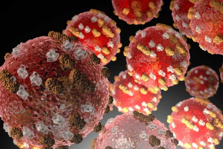 Only half of New Hanover and Brunswick elementary students attend schools with full immunity against measles