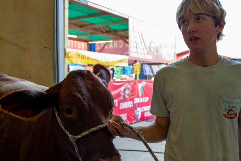 San Antonio Stock Show is part 'beauty pageant'