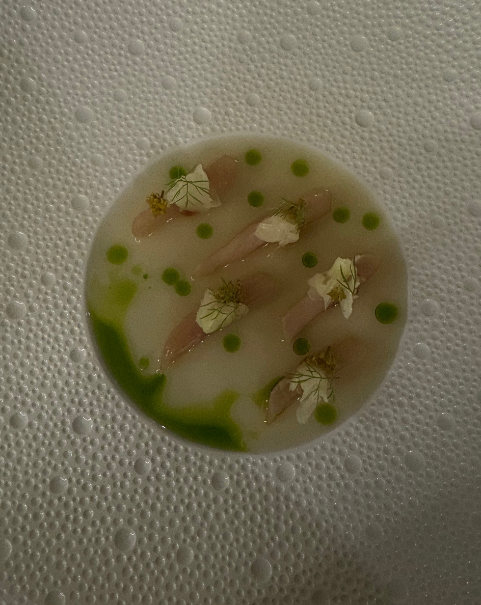 dish featuring slices of fish in a light broth with garnishes