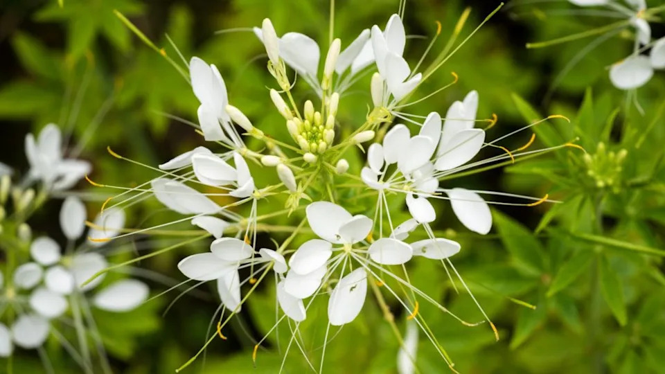 Image Credit: Deposit Photos