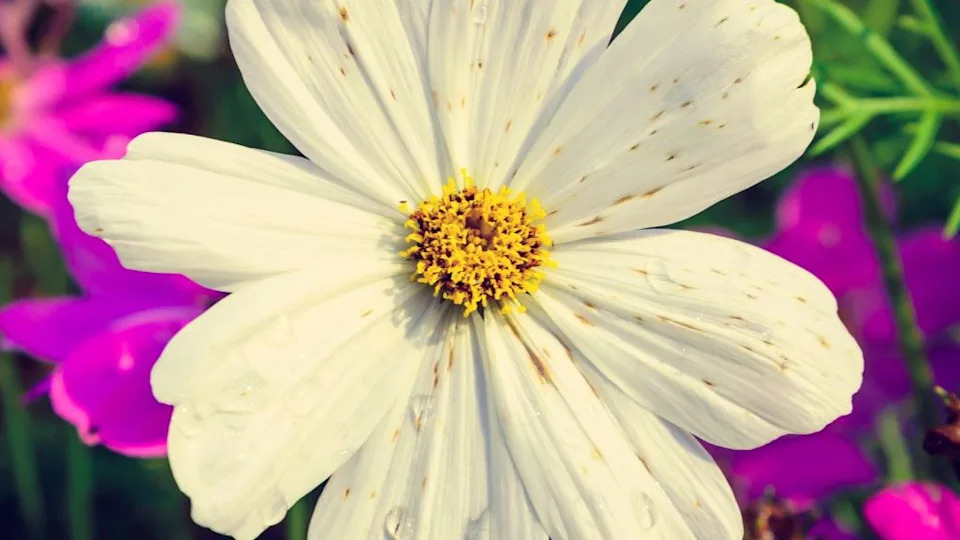 Image Credit: Deposit Photos