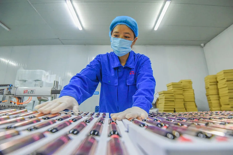 A worker inspects bioactive peptides at a workshop of Hubei Reborn Biotech Co., Ltd on November 17, 2020 in Jingzhou, Hubei Province of China.