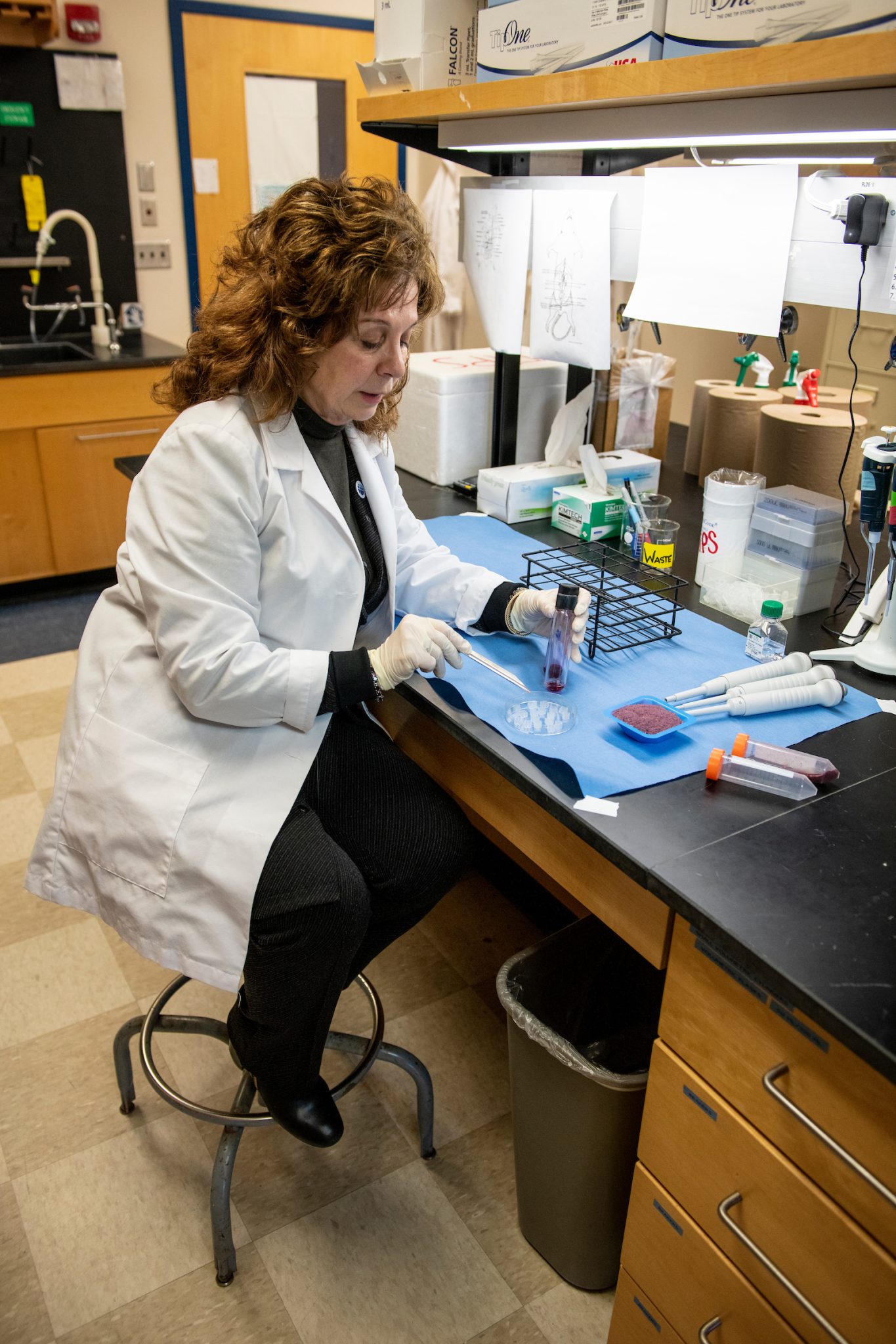A photo of a woman conducting research in a lab.
