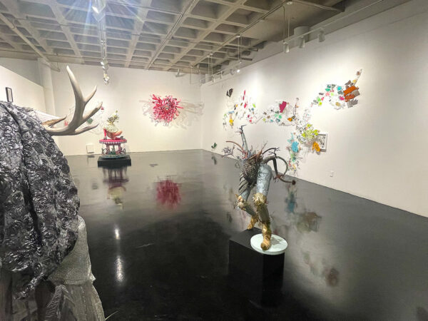 An installation image of mixed media works by Jayne Lawrence and Leigh Anne Lester.