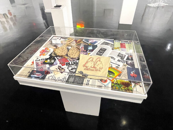 A vitrine with ephemera from the history of cactusBRA/cactusBARN, a gallery in San Antonio.