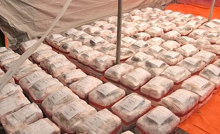 Five charged in Fiji's largest cocaine bust granted immunity to catch the "big fish"