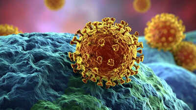 Can your immune system fight cancer? Expert breaks down how immunotherapy works and when it is recommended