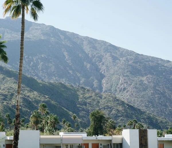 In Palm Springs, wellness... - Palm Springs City Government