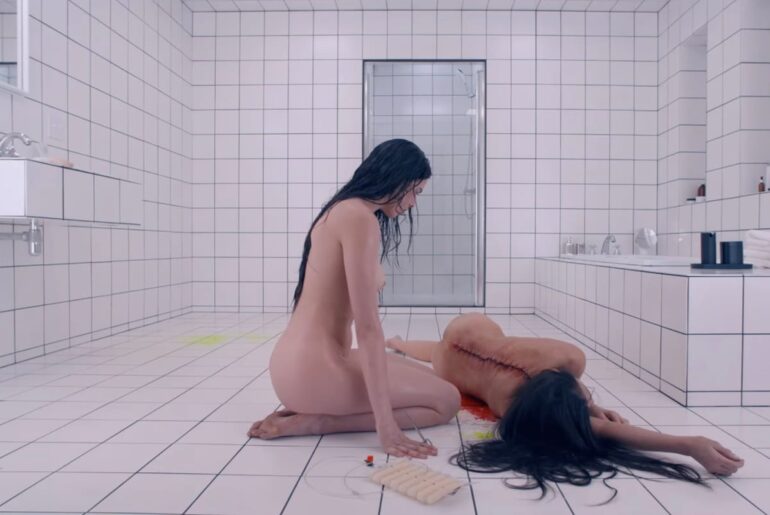 Goop horror: The new wave of literature skewering the beauty industry