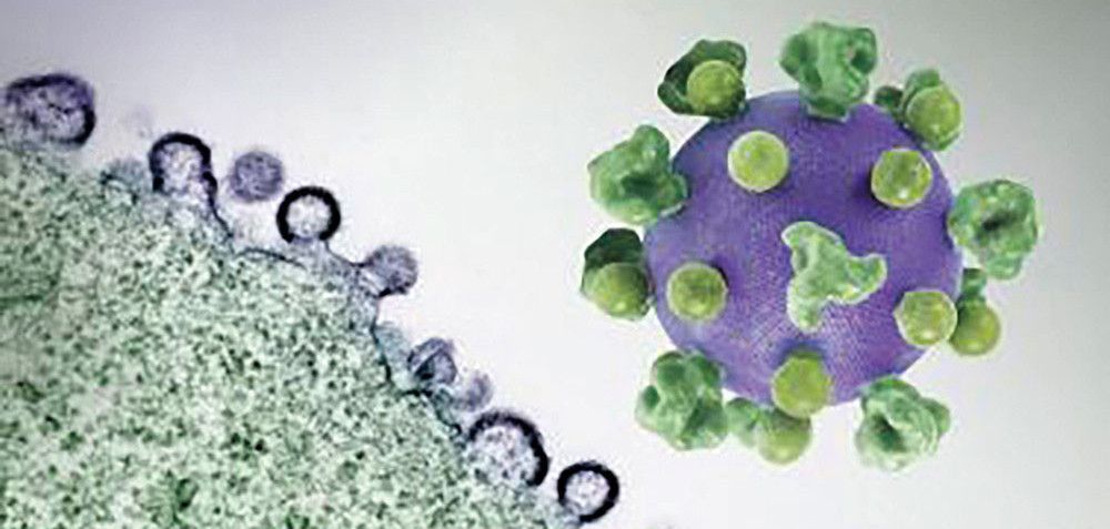 Immune Modulator Anktiva Does Not Control HIV Rebound