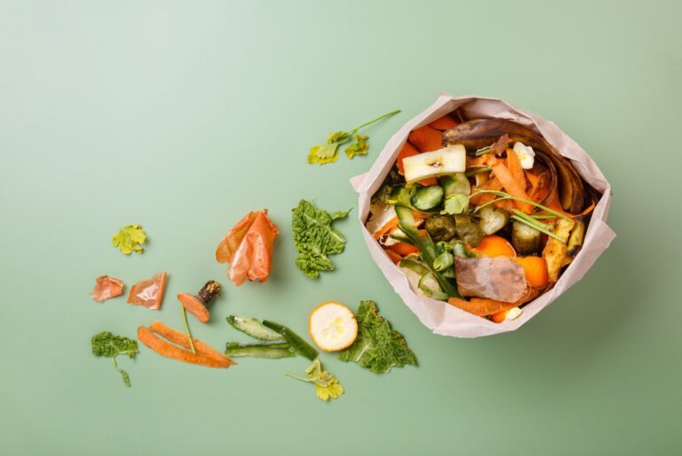 Upcycled Food Ingredients: Nutrition, Safety, and Sustainability