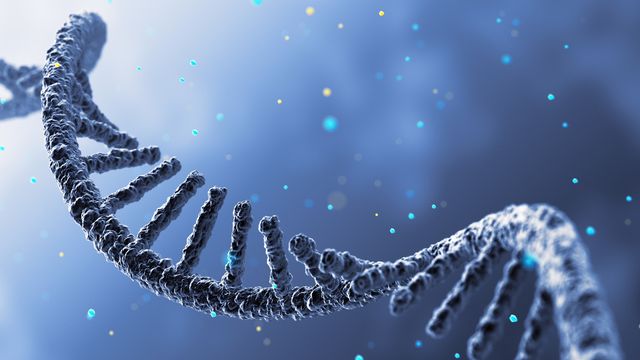 Protein Duo Boosts Detection of Viral RNA