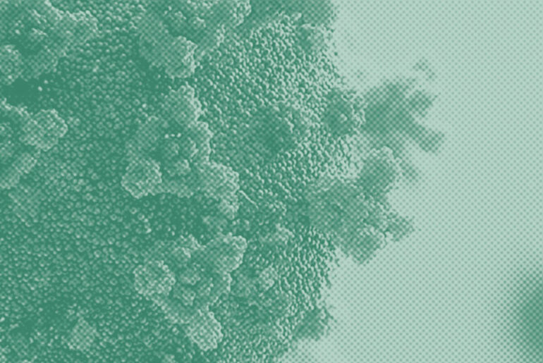 Fungal Supplement Boosts COVID-19 Vaccine Efficacy