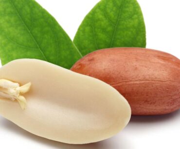 Allergy Therapeutics peanut vaccine shows strong immune response in early trial