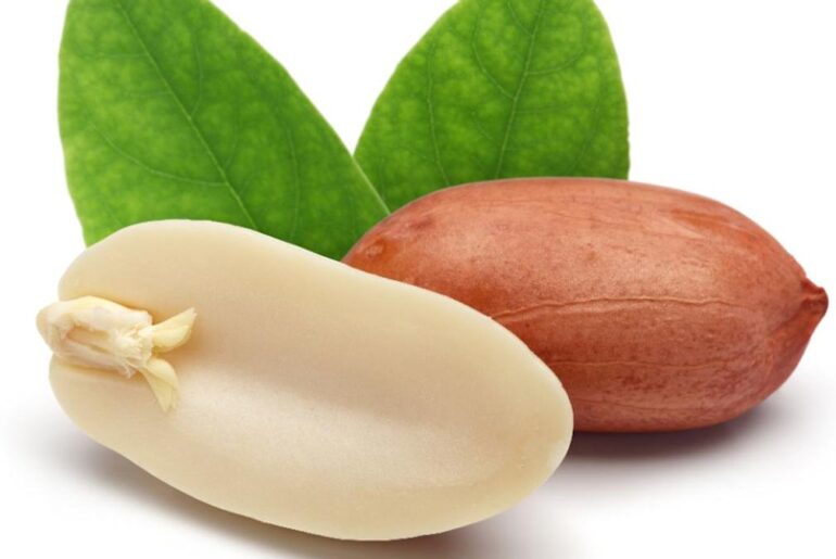 Allergy Therapeutics peanut vaccine shows strong immune response in early trial