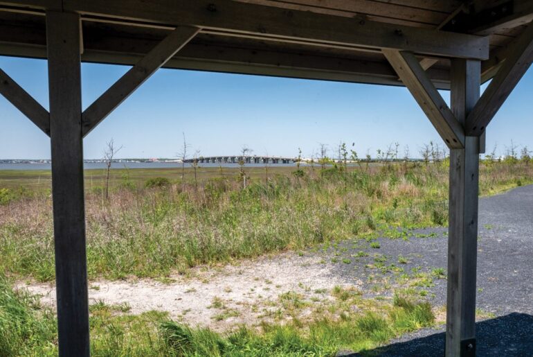 Wellness Walks Planned By LBI Health Department