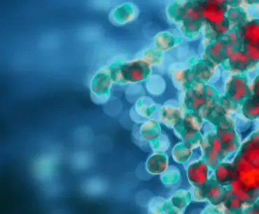 The role of dysbiosis in shaping host immunity in endometrial cancer development