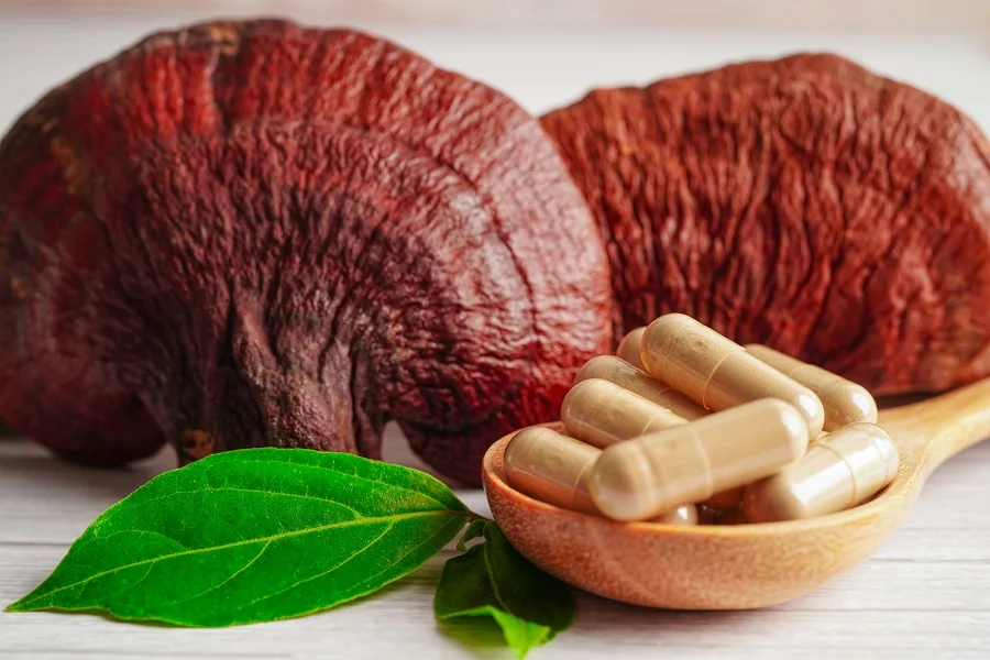 Mushroom supplements