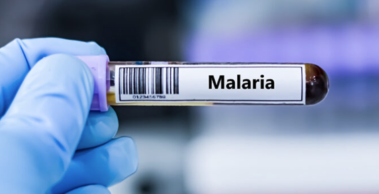 Burnet Institute and WEHI in Australia unveil immune blueprint for next‐generation malaria vaccines