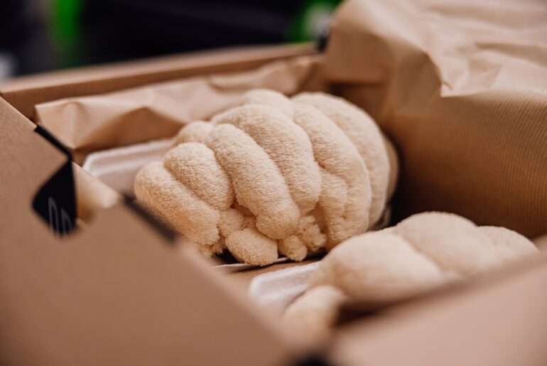Functional mushrooms move from niche wellness to mainstream retail as food and beverage applications expand