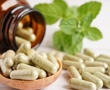 Botanical Supplements Market