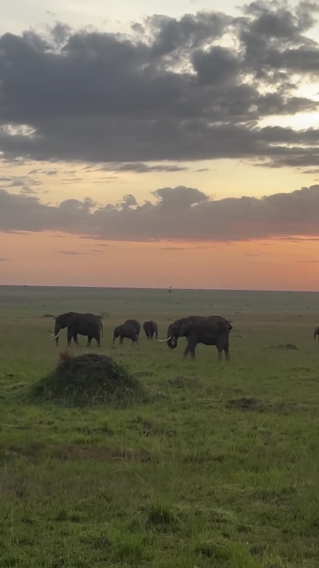 Image no longer available