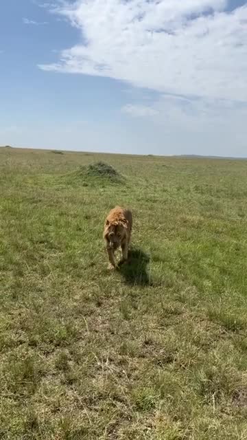 Image no longer available