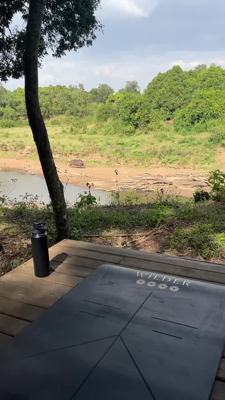 Image no longer available