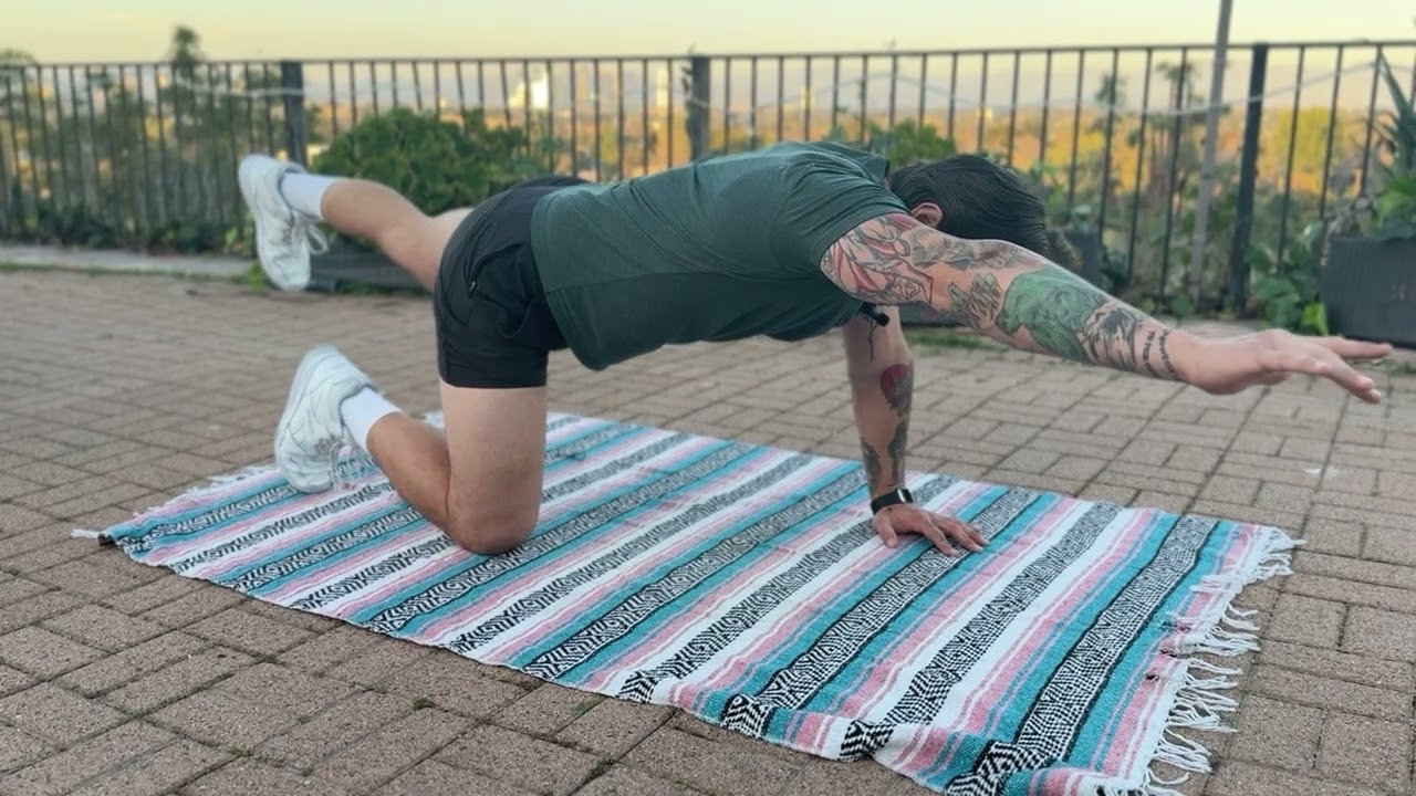 How to do proper Bird Dogs - YouTube